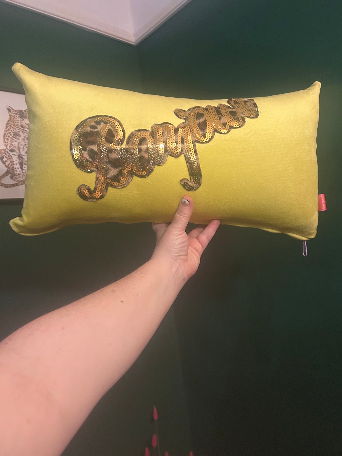 Bonjour velvet cushion